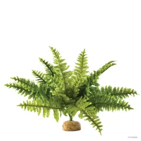 Hagen Exo Terra Boston Fern Medium - esőerdei földi műnövény (szoba páfrány) kb. 20 cm
