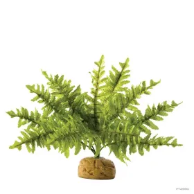 Hagen Exo Terra Boston Fern Small - esőerdei földi műnövény (szoba páfrány) kb. 10 cm