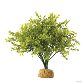 Hagen Exo Terra Boxwood Bush - esőerdei földi műnövény - Bukszus