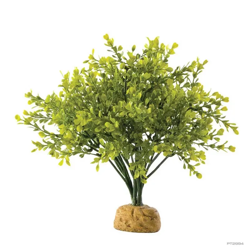 Hagen Exo Terra Boxwood Bush - esőerdei földi műnövény - Bukszus