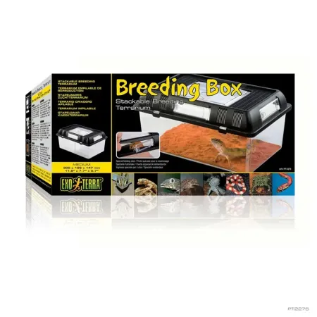 Hagen Exo Terra Breeding Box Medium - Műanyag tenyésztő doboz (M)