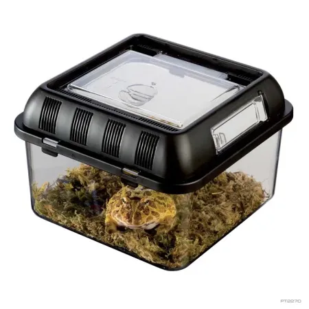 Hagen Exo Terra Breeding Box Small - Műanyag tenyésztő doboz (S)