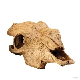 Hagen Exo Terra Buffalo Skull - bölény koponya formájú búvóhely terrariumba (13x9x24 cm)
