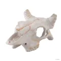 Hagen Exo Terra Buffalo Skull Small - bölény koponya formájú búvóhely terráriumba (7,6x11,8x5 cm)