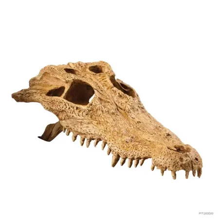 Hagen Exo Terra Crocodile Skull - krokodilkoponya formájú búvóhely hüllők részére (12x22x8 cm)