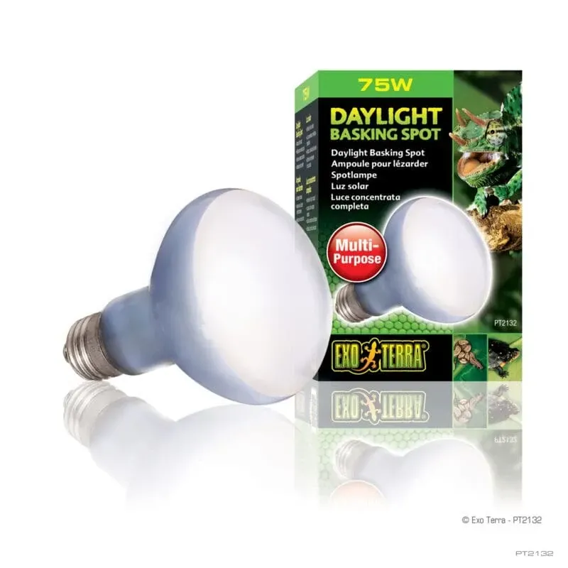 Hagen Exo Terra Daylight Basking Spot 75W (2132)