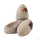 Hagen Exo Terra Dinosaur Eggs Small - Dinoszaurusz tojás bújó hüllők részére (15 cm)