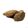 Hagen Exo Terra Elevated Outcrop Small - sütkérező terráriumba