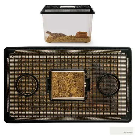 Hagen Exo Terra Faunarium Large - Ideiglenes terráriumdoboz (37x22x16 cm)