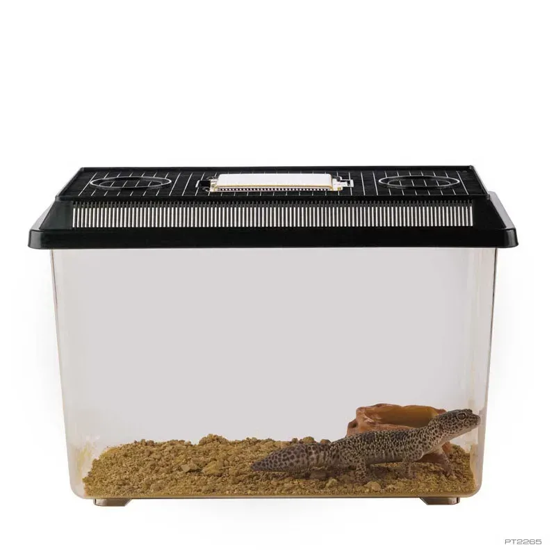 Hagen Exo Terra Faunarium Large - Ideiglenes terráriumdoboz (37x22x16 cm)