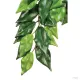 Hagen Exo Terra Ficus Large - esőerdei lógó műnövény (Fikusz) kb. 60 cm