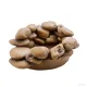Hagen Exo Terra Frog Pond Large Pebble Water Dish - vizestál békáknak (17X13,5X6 cm)