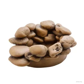 Hagen Exo Terra Frog Pond Large Pebble Water Dish - vizestál békáknak (17X13,5X6 cm)
