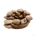 Hagen Exo Terra Frog Pond Large Pebble Water Dish - vizestál békáknak (17X13,5X6 cm)