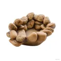Hagen Exo Terra Frog Pond Small Pebble Water Dish - vizestál békáknak (15x12,5x5,5 cm)