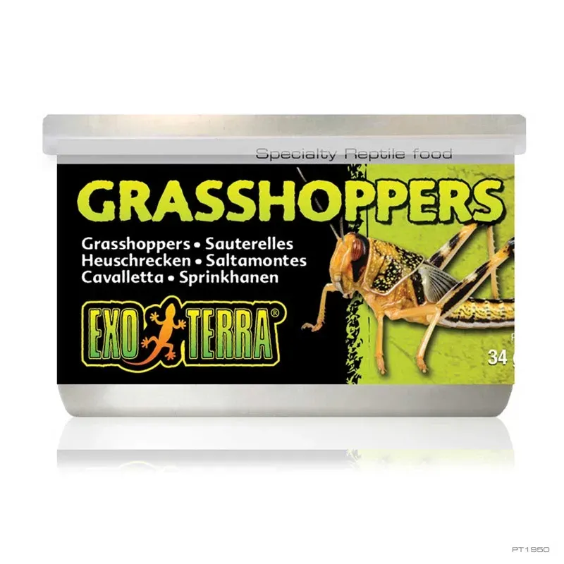 Hagen Exo Terra Grasshoppers - hüllőeledel (szöcske) 34 g