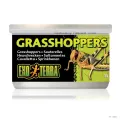 Hagen Exo Terra Grasshoppers - hüllőeledel (szöcske) 34 g