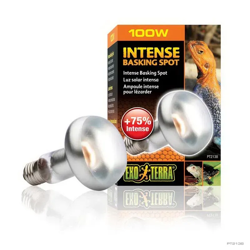 Hagen Exo Terra Intense Basking Spot - izzó sütkérező területekhez - 100W (2138)
