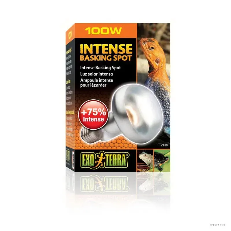 Hagen Exo Terra Intense Basking Spot - izzó sütkérező területekhez - 100W (2138)