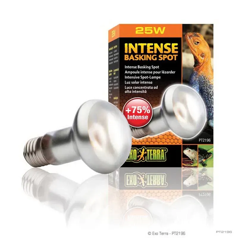 Hagen Exo Terra Intense Basking Spot - izzó sütkérező területekhez - 25 W (2196)