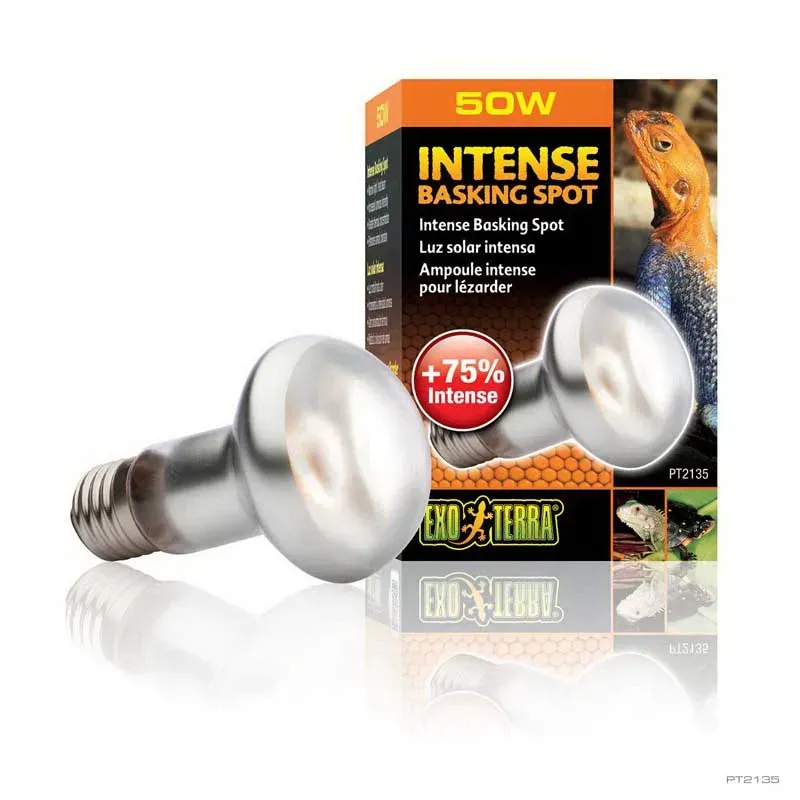 Hagen Exo Terra Intense Basking Spot - izzó sütkérező területekhez - 50W (2135)
