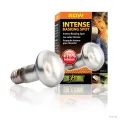 Hagen Exo Terra Intense Basking Spot - izzó sütkérező területekhez - 50W (2135)