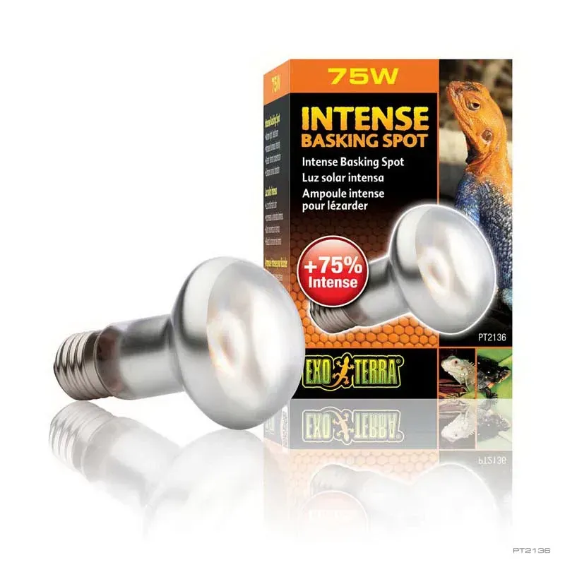 Hagen Exo Terra Intense Basking Spot - izzó sütkérező területekhez - 75W (2136)
