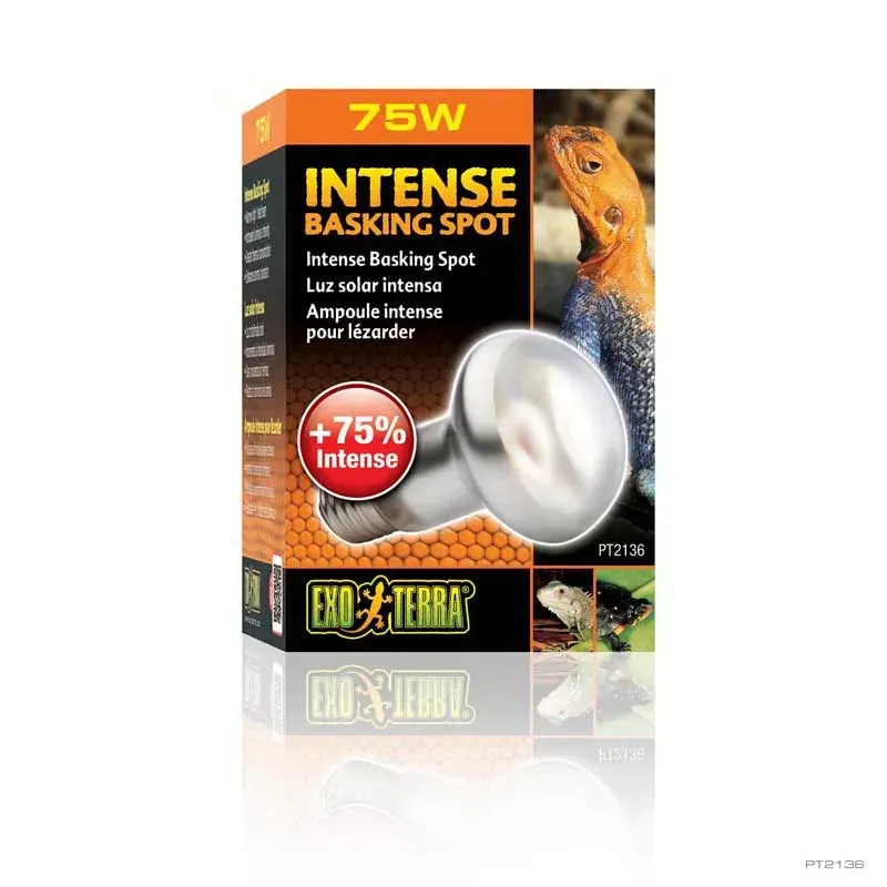 Hagen Exo Terra Intense Basking Spot - izzó sütkérező területekhez - 75W (2136)