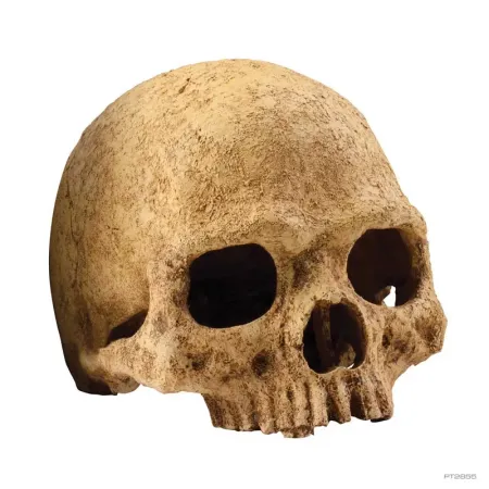 Hagen Exo Terra Primate Skull - koponya formájú búvóhely terráriumokba (12 cm)