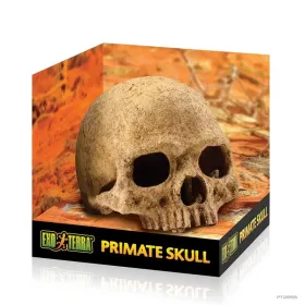 Hagen Exo Terra Primate Skull - koponya formájú búvóhely terráriumokba (12 cm)