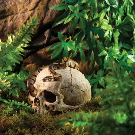 Hagen Exo Terra Primate Skull - koponya formájú búvóhely terráriumokba (12 cm)