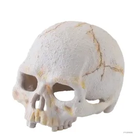 Hagen Exo Terra Primate Skull Small - koponya formájú búvóhely terráriumokba