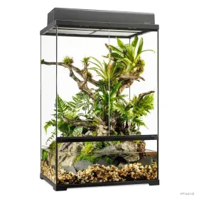 Hagen Exo Terra Pro Plaudarium Medium X-Tall - Dekoratív üveg paludárium (60x45x90 cm)