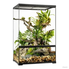 Hagen Exo Terra Pro Plaudarium Medium X-Tall - Dekoratív üveg paludárium (60x45x90 cm)
