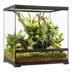 Hagen Exo Terra Pro Terrarium Medium Tall - Dekoratív üvegterrárium (60x45x60 cm)