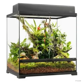 Hagen Exo Terra Pro Terrarium Medium Tall - Dekoratív üvegterrárium (60x45x60 cm)