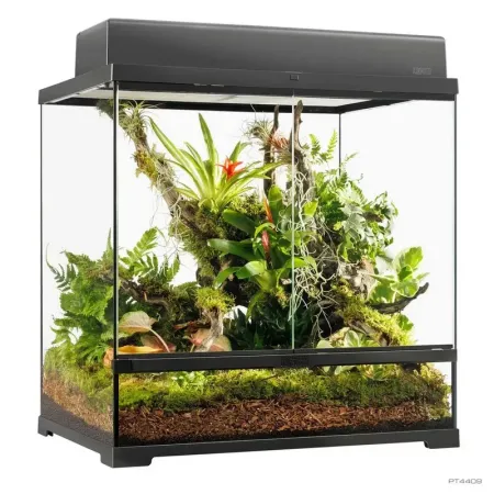 Hagen Exo Terra Pro Terrarium Medium Tall - Dekoratív üvegterrárium (60x45x60 cm)
