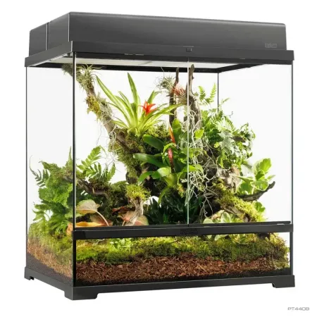 Hagen Exo Terra Pro Terrarium Medium Tall - Dekoratív üvegterrárium (60x45x60 cm)