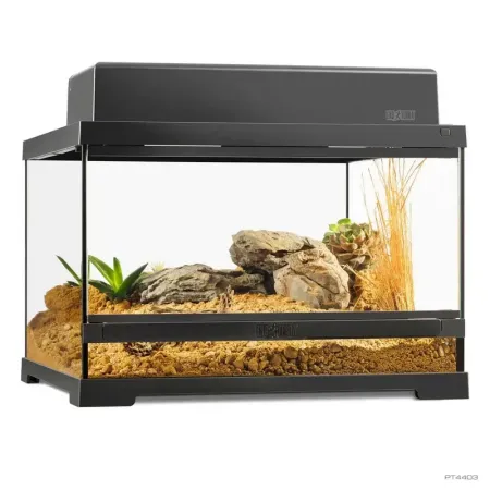 Hagen Exo Terra Pro Terrarium Small Low - Dekoratív üvegterrárium (45x45x30 cm)