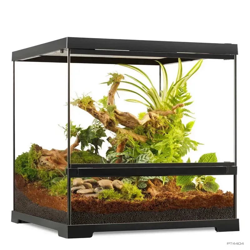 Hagen Exo Terra Pro Terrarium Small Wide - Dekoratív üvegterrárium (45x45x45 cm)