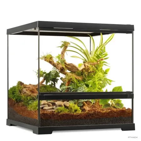 Hagen Exo Terra Pro Terrarium Small Wide - Dekoratív üvegterrárium (45x45x45 cm)