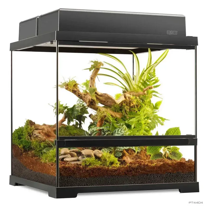 Hagen Exo Terra Pro Terrarium Small Wide - Dekoratív üvegterrárium (45x45x45 cm)