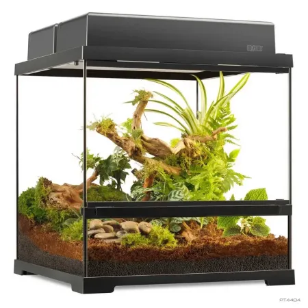 Hagen Exo Terra Pro Terrarium Small Wide - Dekoratív üvegterrárium (45x45x45 cm)