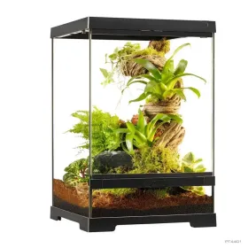 Hagen Exo Terra Pro Terrarium X-Small Talll - Dekoratív üvegterrárium (30x30x45 cm)