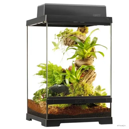 Hagen Exo Terra Pro Terrarium X-Small Talll - Dekoratív üvegterrárium (30x30x45 cm)