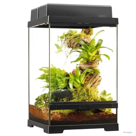 Hagen Exo Terra Pro Terrarium X-Small Talll - Dekoratív üvegterrárium (30x30x45 cm)