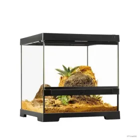 Hagen Exo Terra Pro Terrarium X-Small Wide - Dekoratív üvegterrárium (30x30x30 cm)
