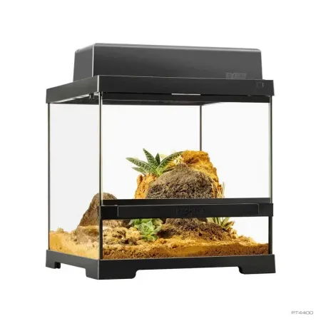 Hagen Exo Terra Pro Terrarium X-Small Wide - Dekoratív üvegterrárium (30x30x30 cm)