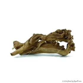 Belly Wood 20-40 cm