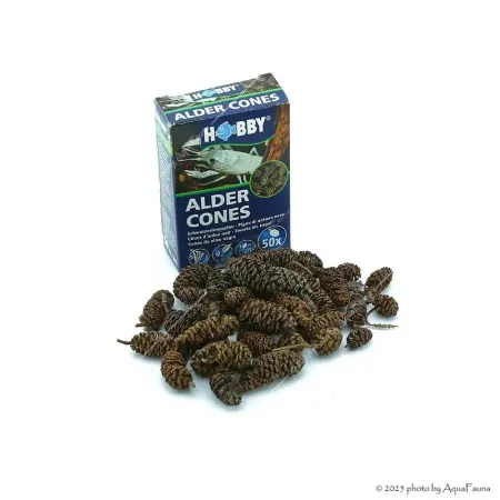 HOBBY Alder Cones - 50 db égertoboz